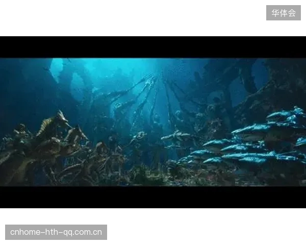 《白鲨横扫TL：从“海王”到“海王”——如何在竞争激烈的行业中脱颖而出？》